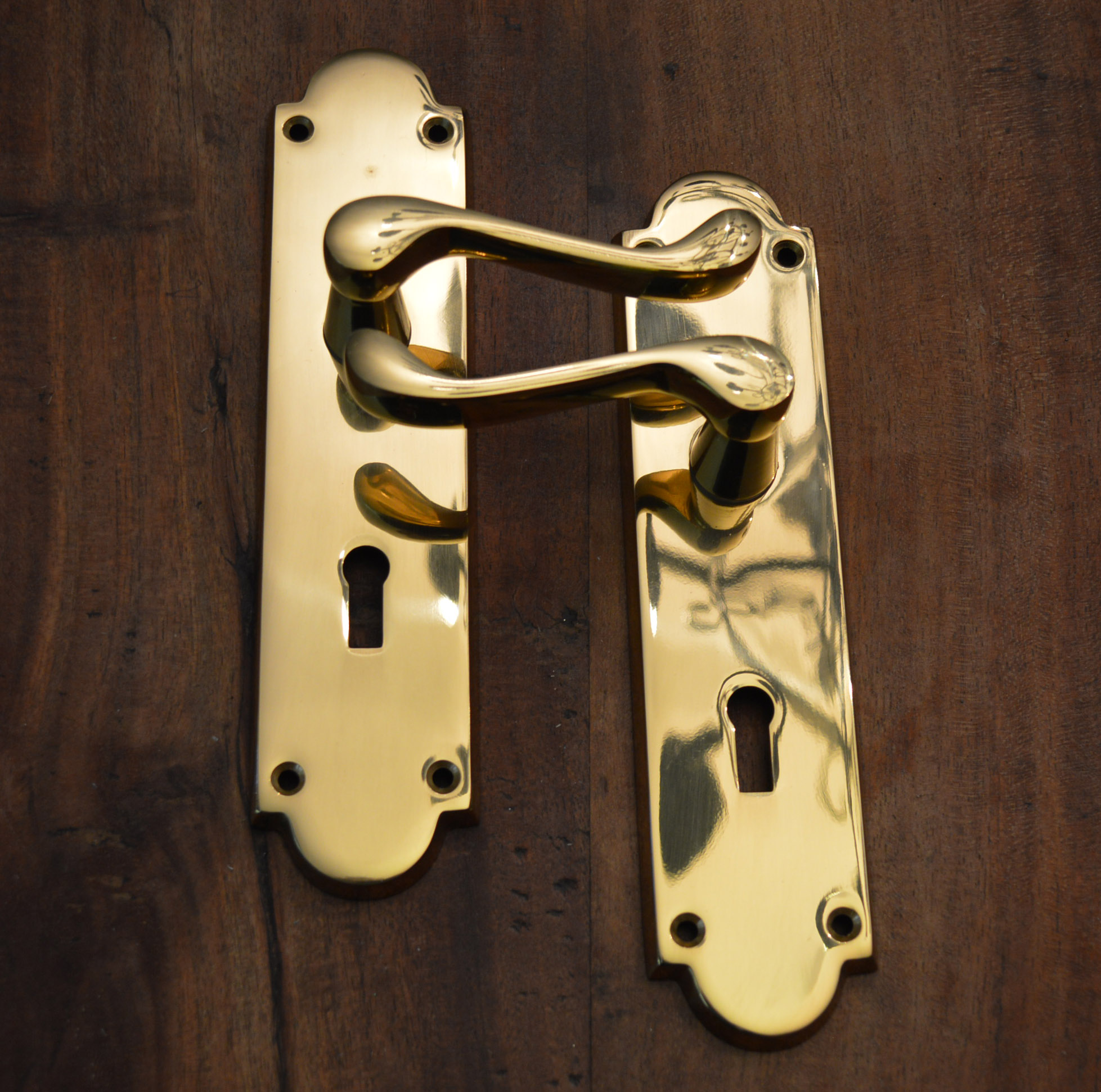 Polished Brass Handles